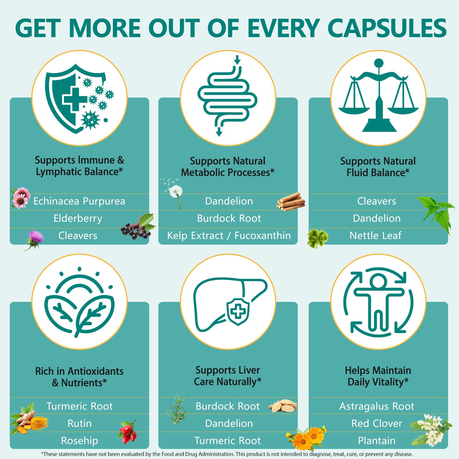QZFICNJY Echinacea Lymphatic Drainage Capsules softgels close-up