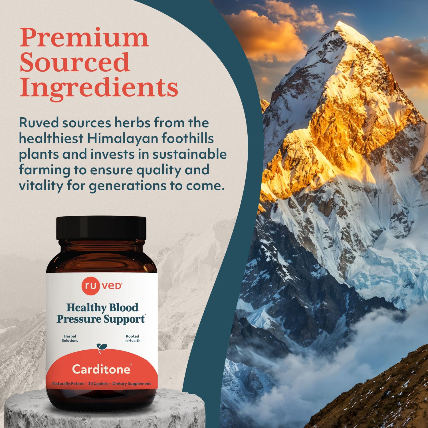R-U VED Carditone Ayurvedic daily wellness Supplement caplet close-up