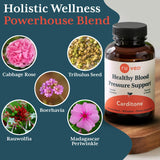 R-U VED Carditone Ayurvedic daily wellness Supplement ingredients list