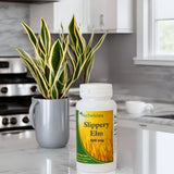 Rachelstea Slippery Elm Bark Capsules 400mg bottle with label