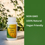 Rachelstea Slippery Elm Bark Capsules 400mg in a hand