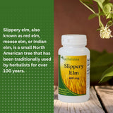 Rachelstea Slippery Elm Bark Capsules 400mg with natural background