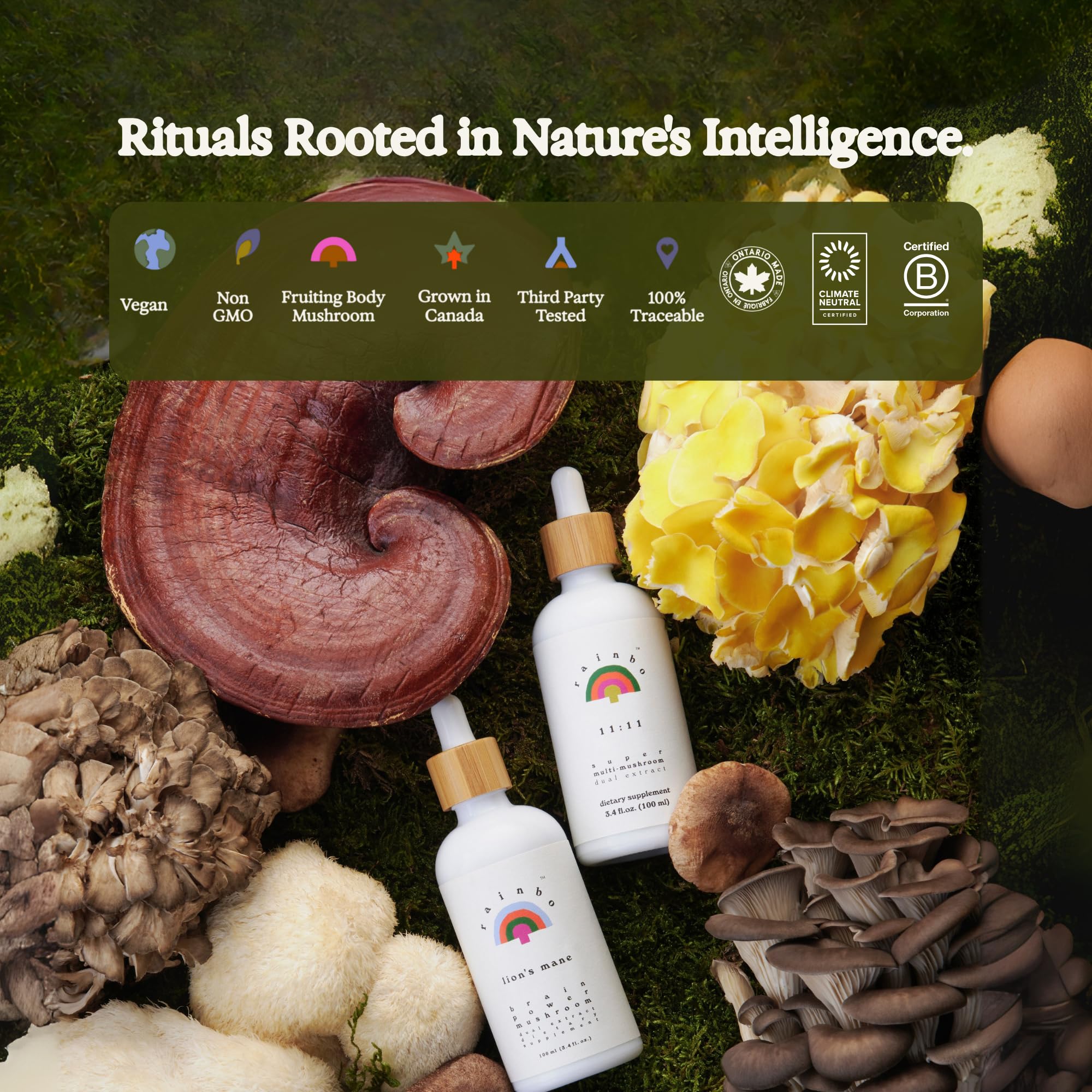 Rainbo Lion's Mane Mushroom Liquid Tincture packaging details