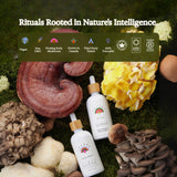 Rainbo Lion's Mane Mushroom Liquid Tincture packaging details