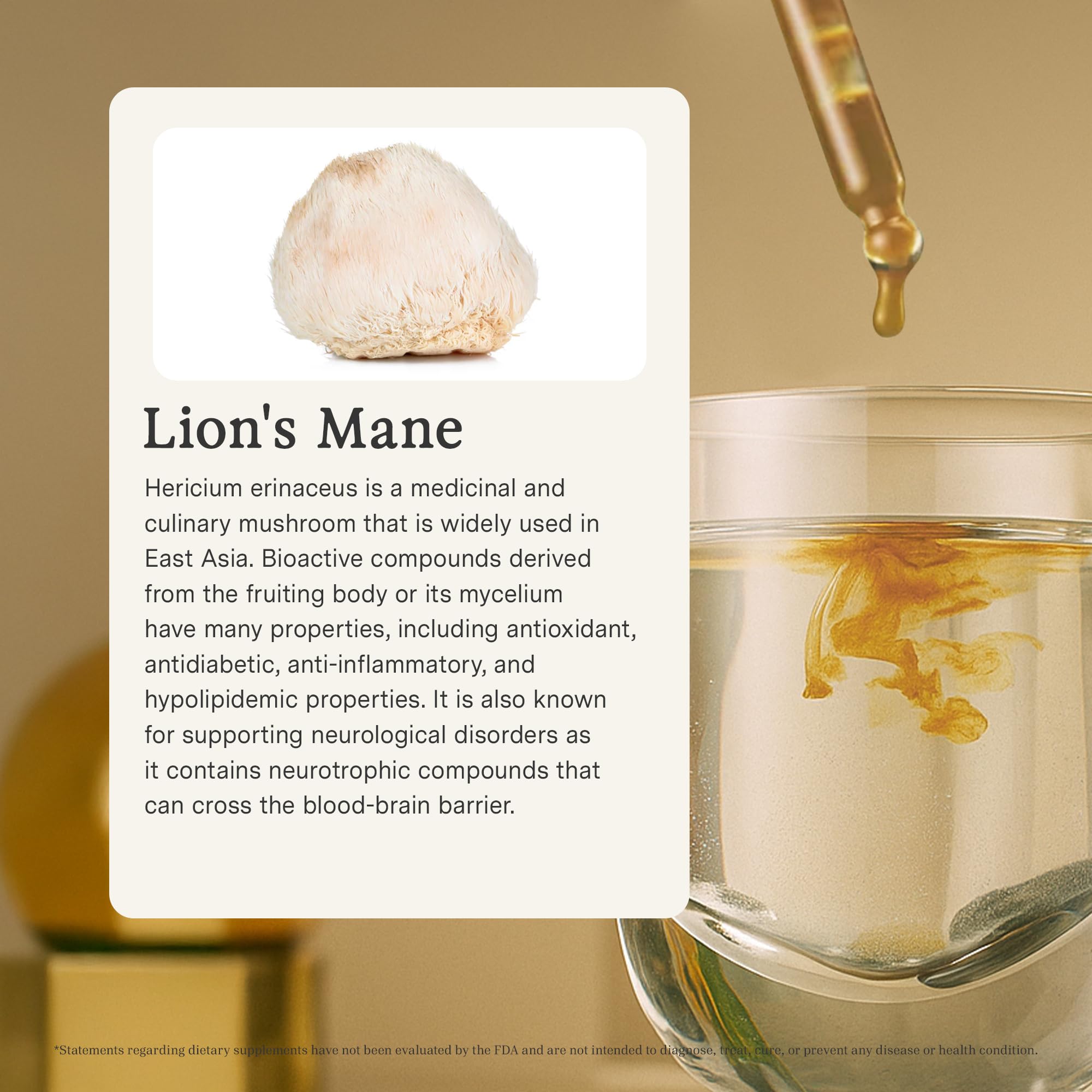 Rainbo Lion's Mane Mushroom Liquid Tincture side view