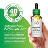 Rainbow Light Dandelion Root Liquid Extract with fresh dandelion roots
