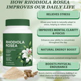 Raipult Rhodiola Rosea Capsules 500mg capsules on a table