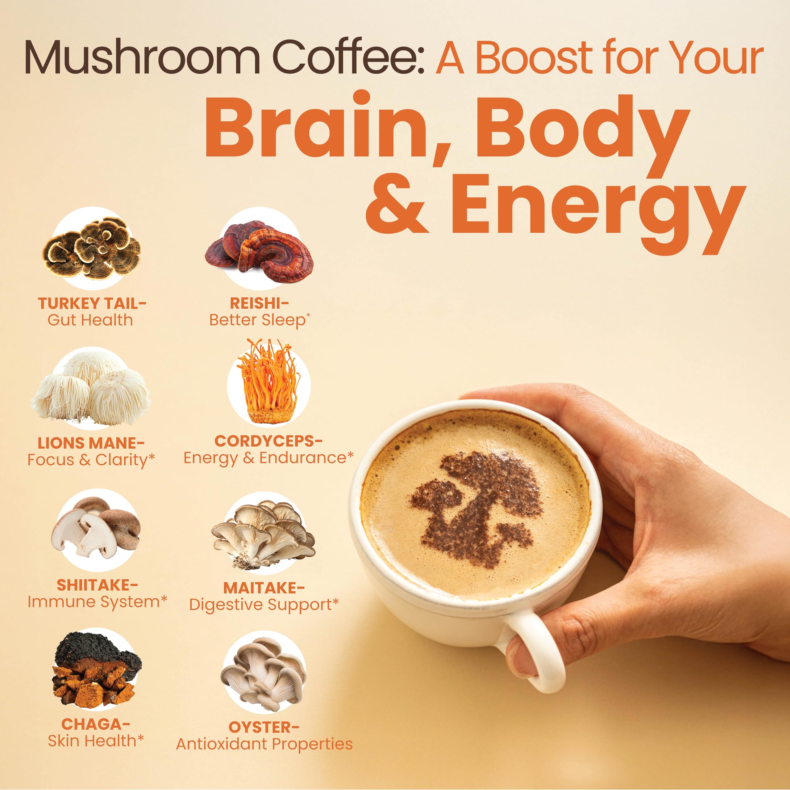 Rapid Fire Focus Coffee 190g scoop and coffee powder