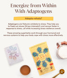 Rasa Koffee MCT Oil Adaptogen Blend with frother