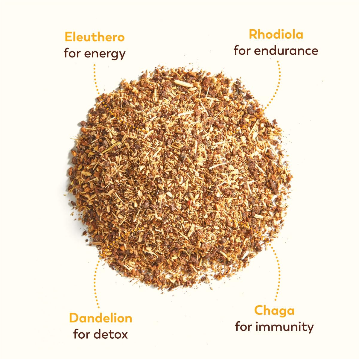 Rasa Koffee prepared drink with a sprinkle of cinnamon