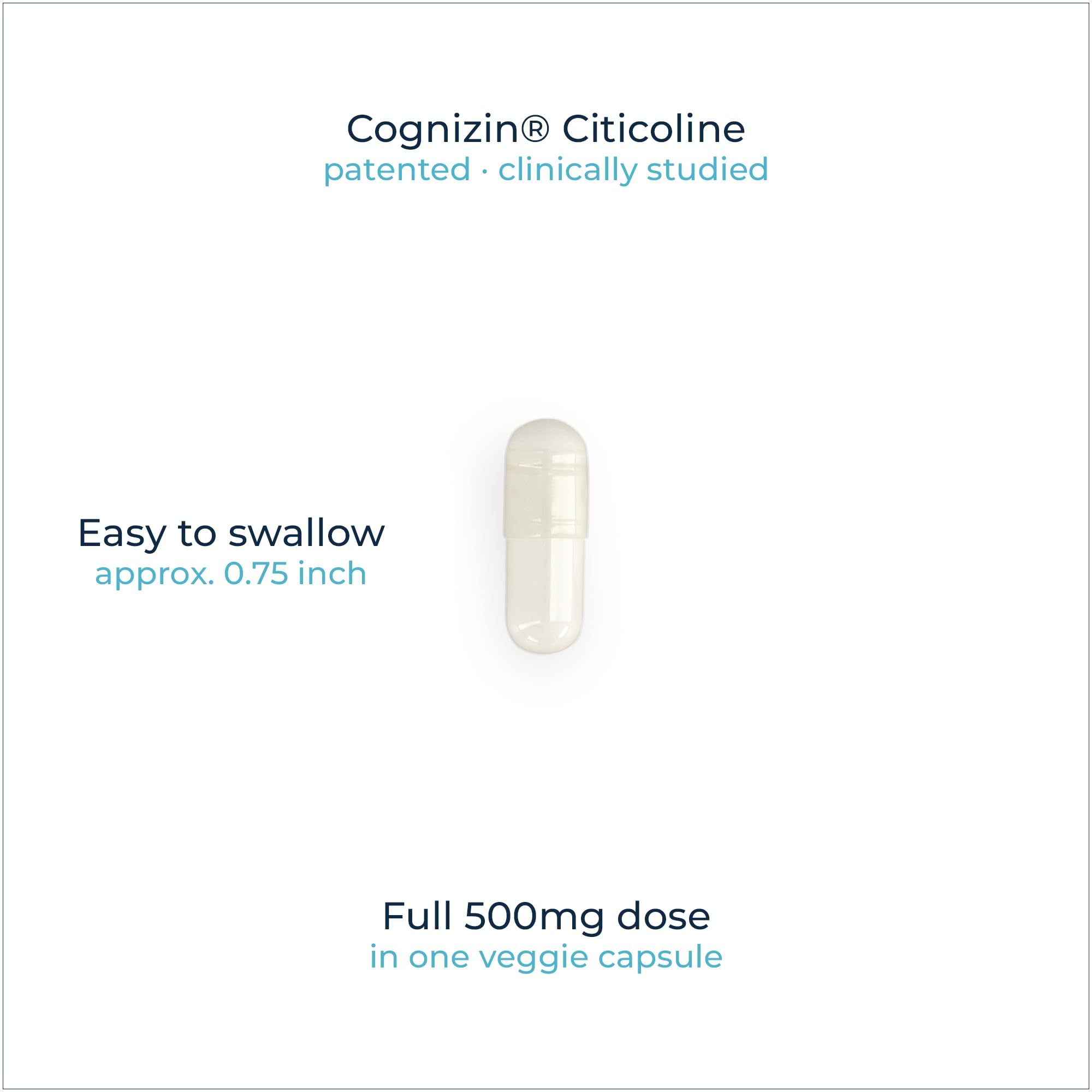 Rational Nutrition Choline Supplement with QR code for verification