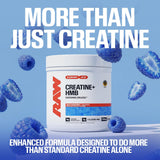 RAW Champion Mentality Creatine Plus 499g nutritional information
