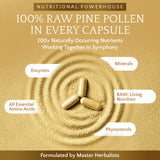 RAW Forest Foods Pine Pollen Capsules packaging top view