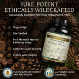 RAW Forest Foods Pine Pollen Capsules with natural background
