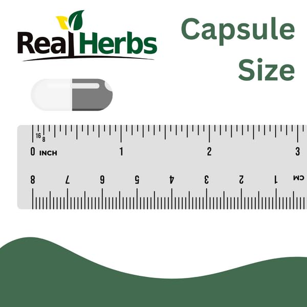 Real Herbs Stinging Nettle Root Extract 750mg capsule close-up