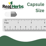 Real Herbs Stinging Nettle Root Extract 750mg capsule close-up