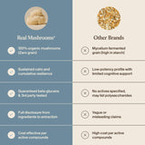 Real Mushrooms Lion’s Mane Calm supplement capsules in a hand