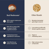 Real Mushrooms Lion's Mane Focus supplement dosage instructions