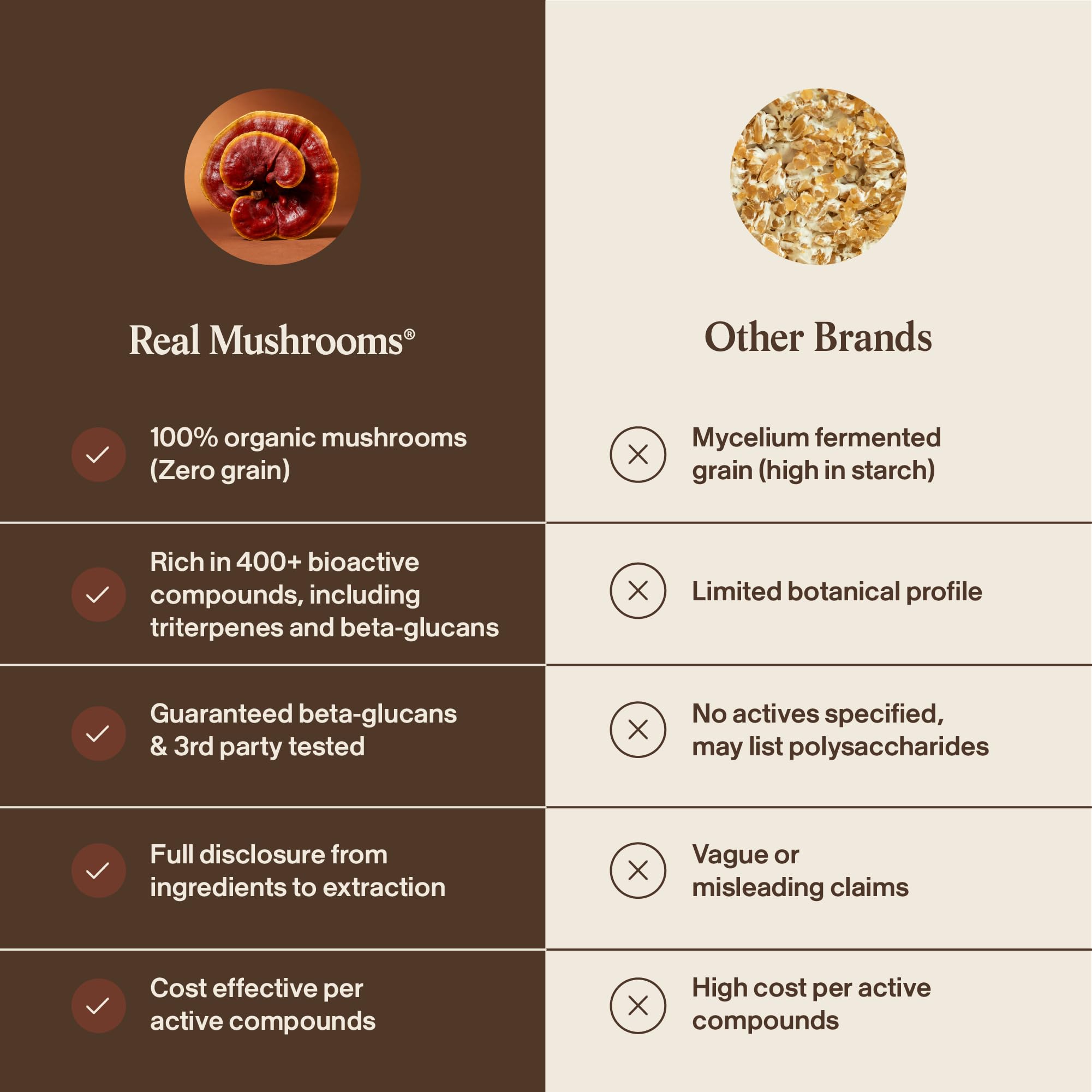 Real Mushrooms Red Reishi Mushroom Capsules in a kitchen setting