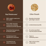 Real Mushrooms Red Reishi Mushroom Capsules in a kitchen setting