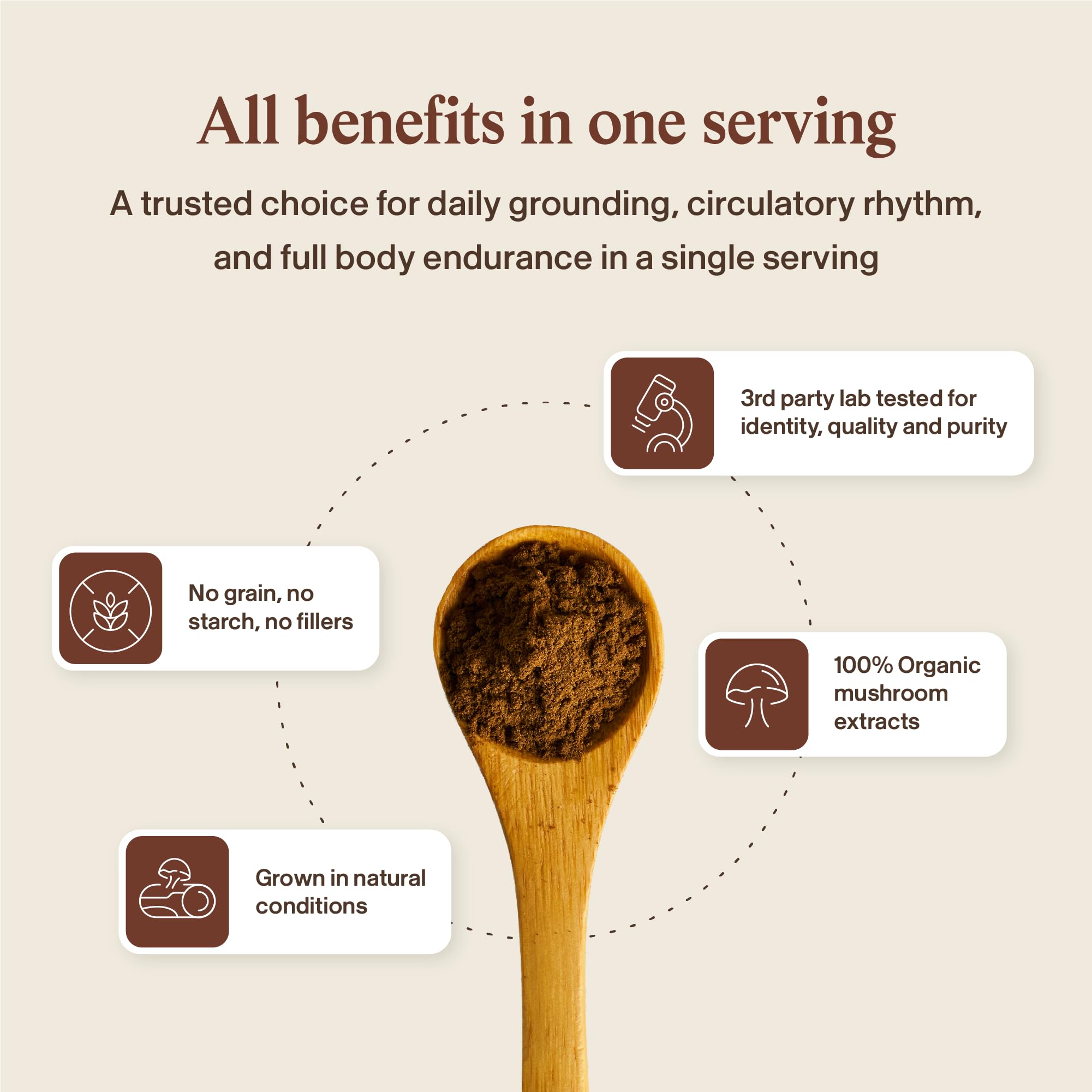 Real Mushrooms Red Reishi Mushroom Capsules packaging details