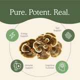 Real Mushrooms Turkey Tail Mushroom Extract 45g in a cup of tea