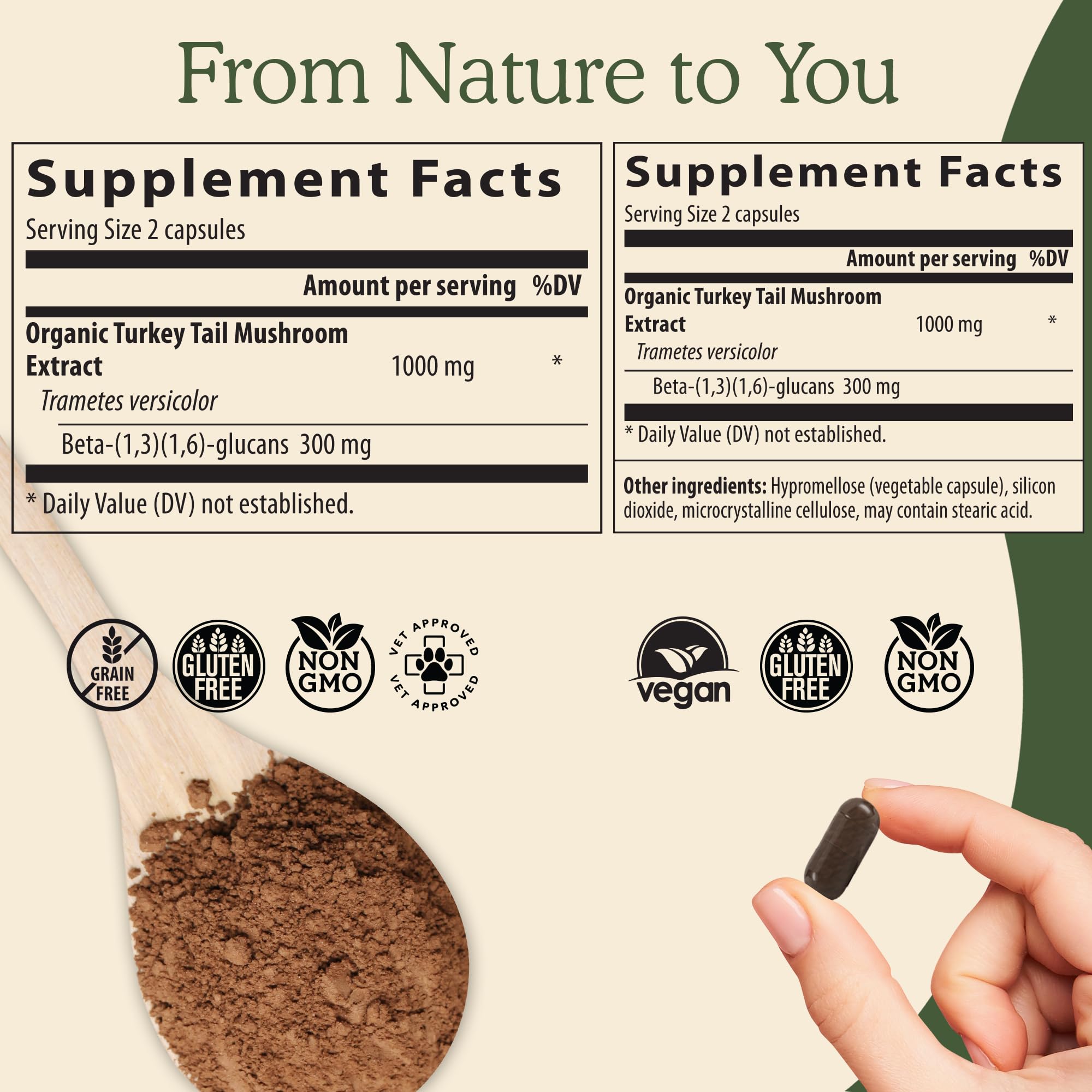 Real Mushrooms Turkey Tail Mushroom Extract 45g in a smoothie
