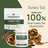 Real Mushrooms Turkey Tail Mushroom Extract 45g powder close-up