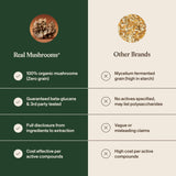 Real Mushrooms Turkey Tail Mushroom Supplement with ingredients