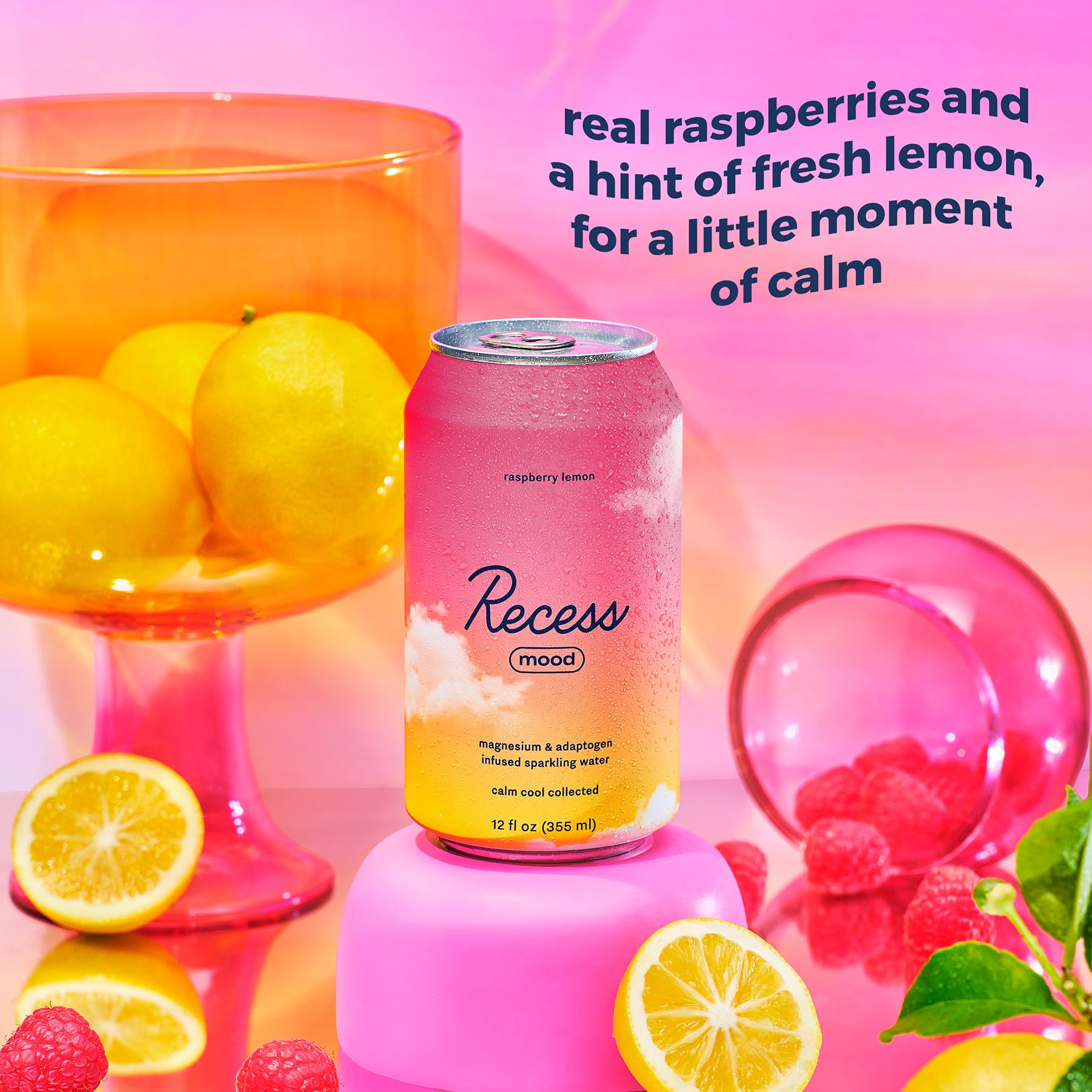Recess Magnesium Sparkling Water can back view showing ingredients