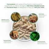 Red's Kitchen Sink Sea Moss Capsules bottle with ingredients list