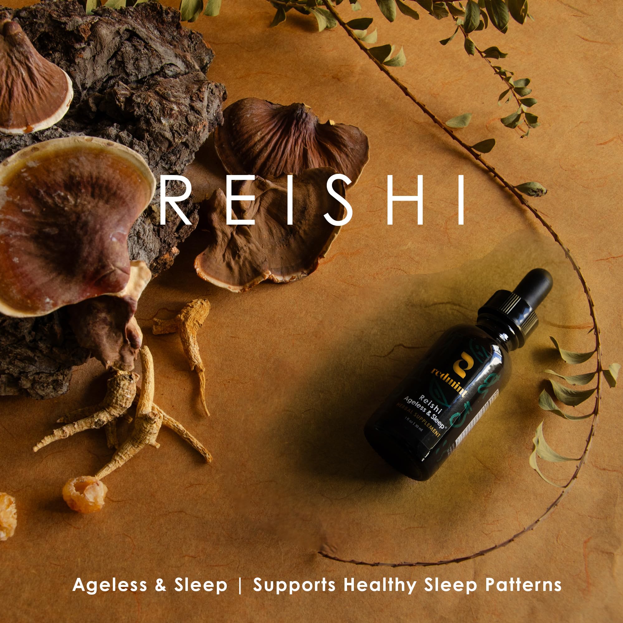 Redmint Reishi Mushroom Tincture back view with ingredient list