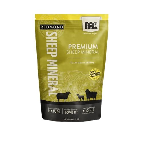 REDMOND Trace Minerals Supplement on a wooden table