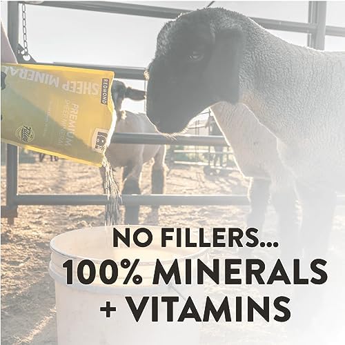 REDMOND Trace Minerals Supplement packaging side view