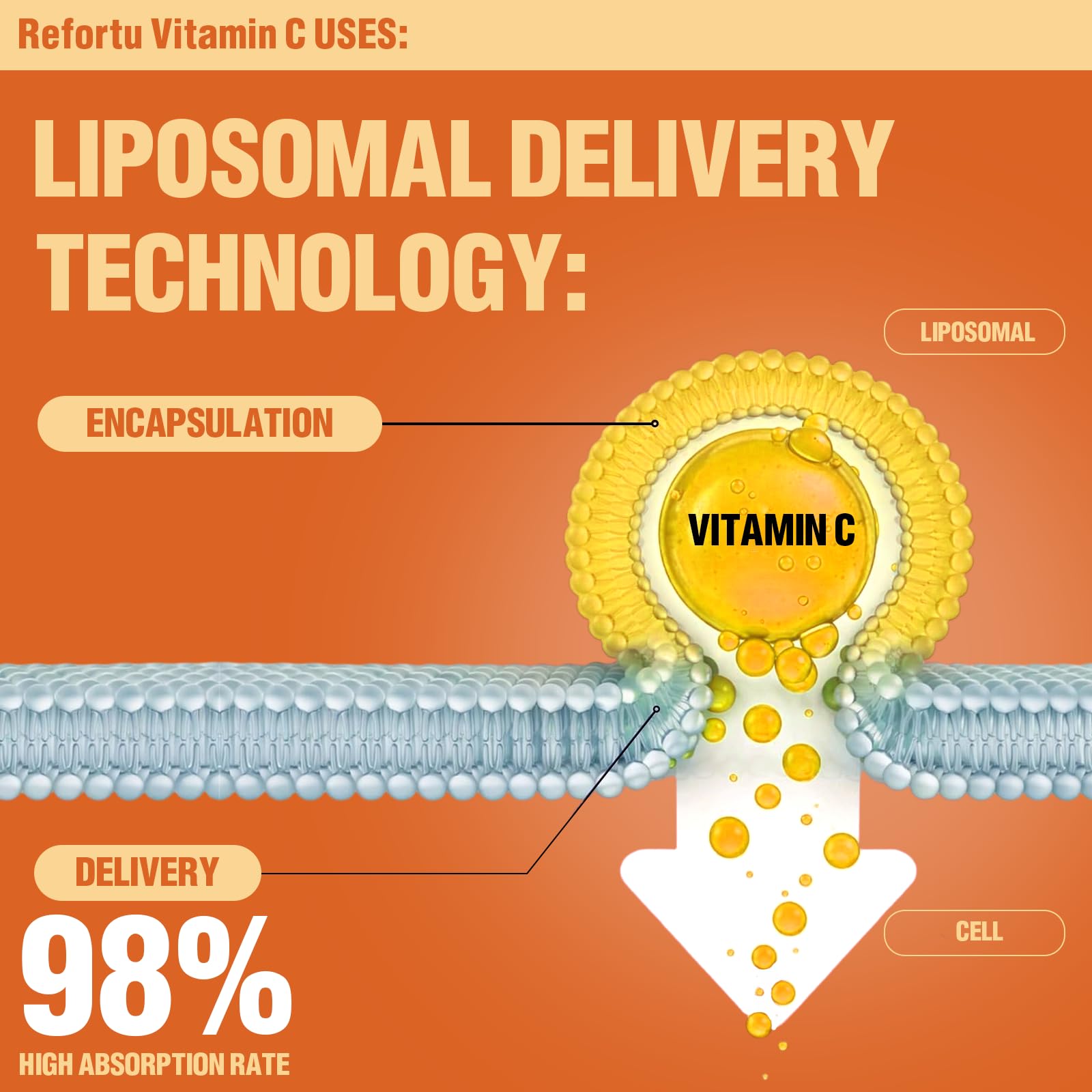 Refortu Liposomal Vitamin C Gummies close-up of gummies