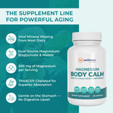 Reignite Wellness Magnesium Supplement 300mg ingredients list