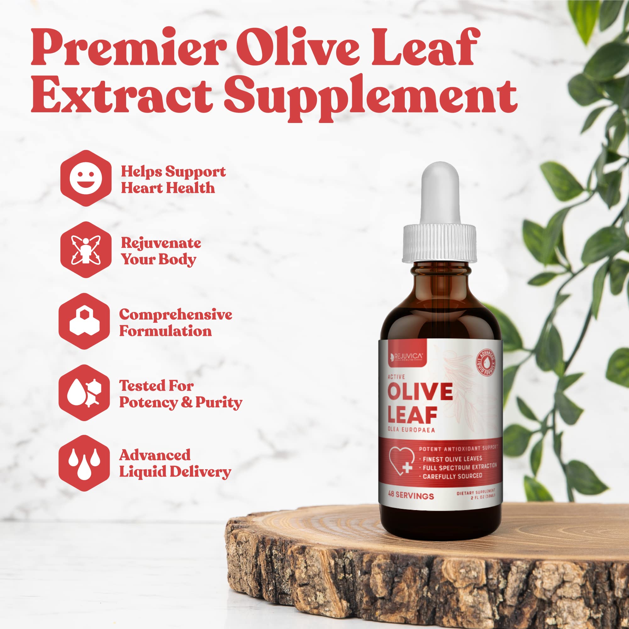 Rejuvica Health Active Olive Leaf Liquid Extract 141g dropper close-up