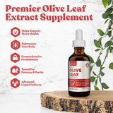 Rejuvica Health Active Olive Leaf Liquid Extract 141g dropper close-up