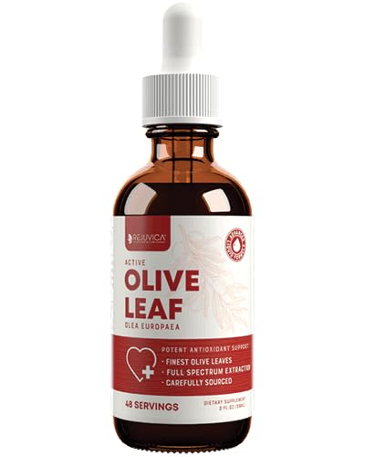 Rejuvica Health Active Olive Leaf Liquid Extract 141g front view