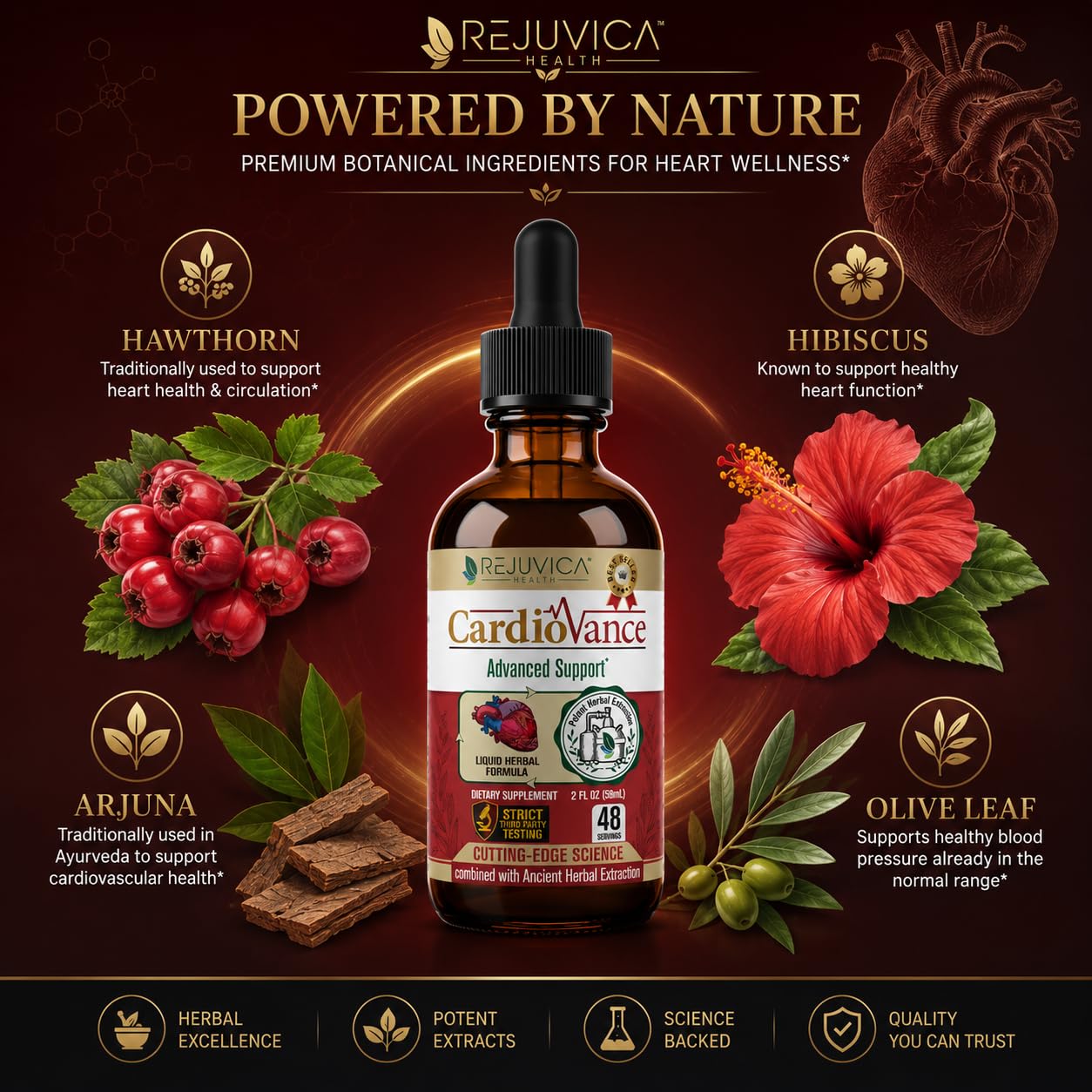 Rejuvica Health CardioVance liquid supplement ingredients list