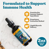 Rejuvica Health Echinacea Liquid Supplement close-up