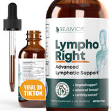 Rejuvica Health LymphoRight Echinacea Liquid Supplement bottle front view