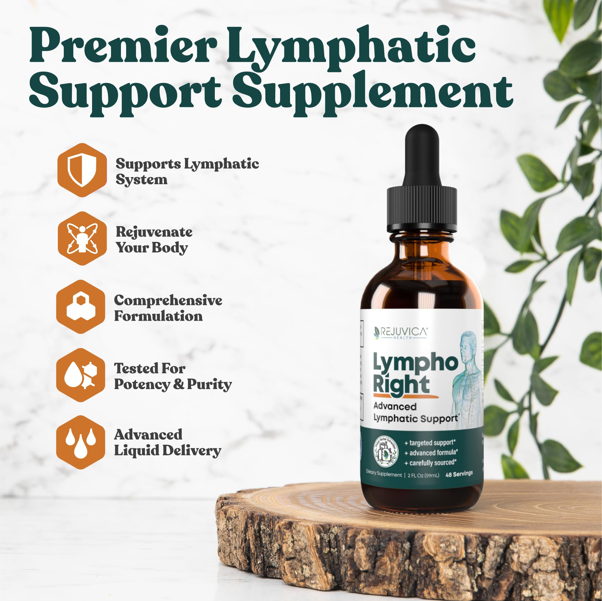 Rejuvica Health LymphoRight Echinacea Liquid Supplement dropper with liquid