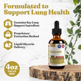 Rejuvica Health Mullein Extract 240g bottle side view