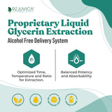 Rejuvica Health Prostavec liquid prostate support ingredients list