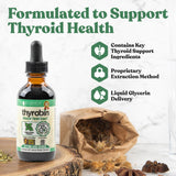 Rejuvica Health Thyrobin bottle with dropper