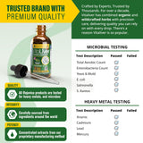 Rejuvica Health VitaLiver Milk Thistle Supplement back view