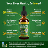 Rejuvica Health VitaLiver Milk Thistle Supplement dropper