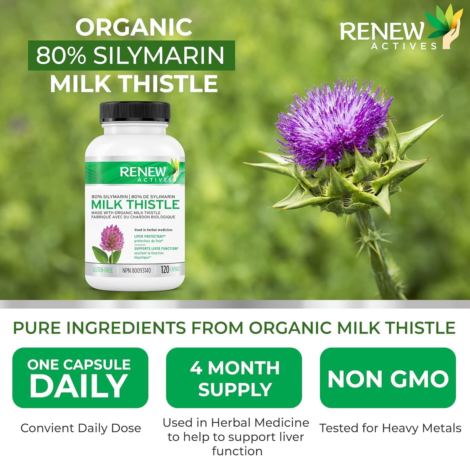 Renew Actives Milk Thistle Capsules 175mg side view