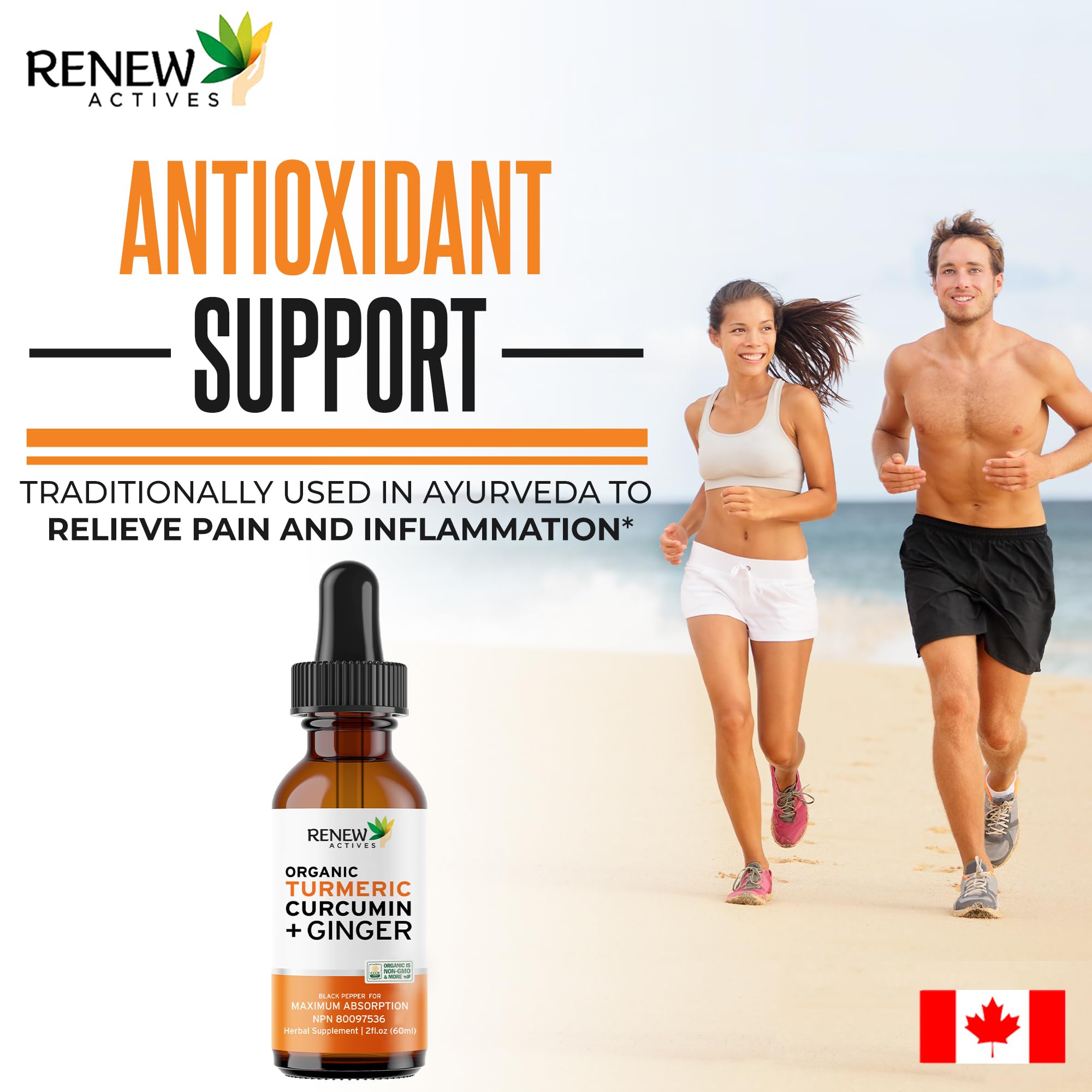 Renew Actives Organic Turmeric Curcumin Drops bottle back view with ingredients